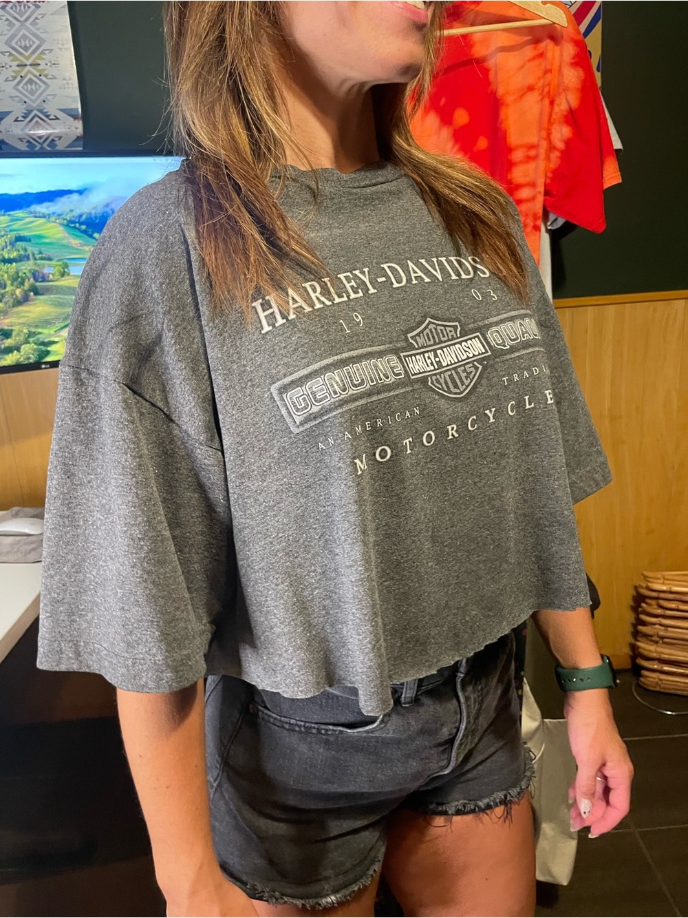 Vacaville, California Harley-Davidson Gray Cropped Logo Tee - Picture 2 of 8